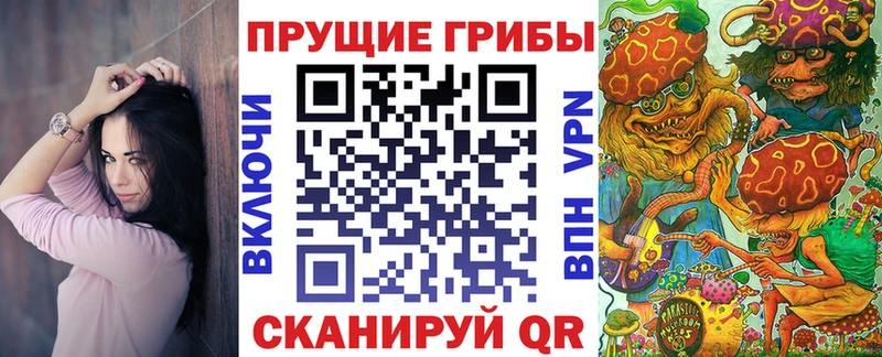 Псилоцибиновые грибы Cubensis  Сортавала 